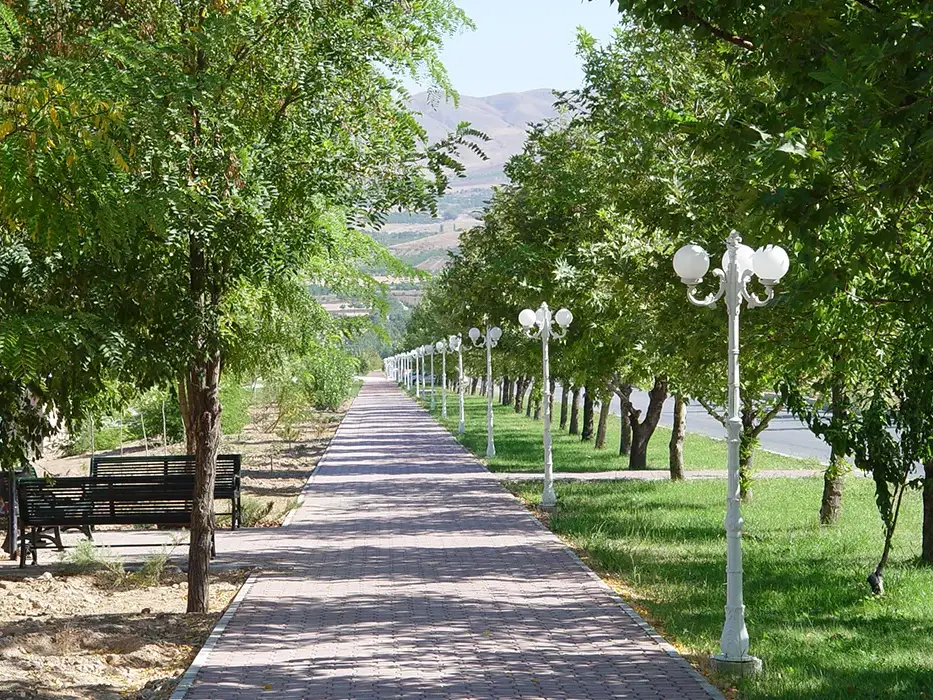 İnönü Üniversitesi Kampus Altyapı İnşaatı İşi (1)